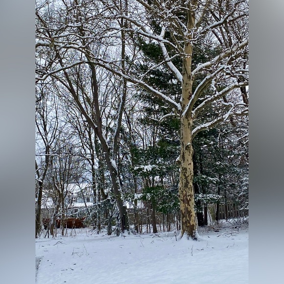 Rosebud227 is Live! Get notified when I’m Live - Picture 12 of 15